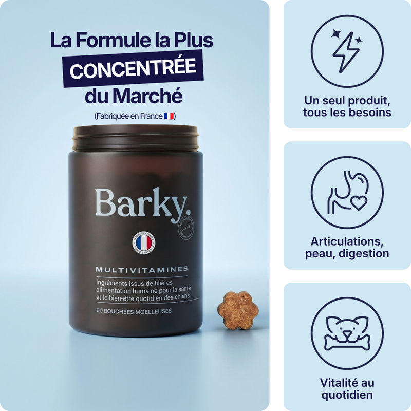 CF-01™ MULTIVITAMINES