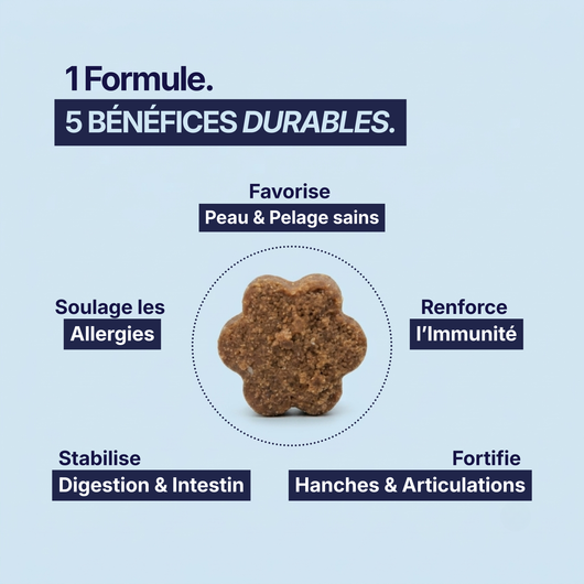 CF-01™ Multivitamines