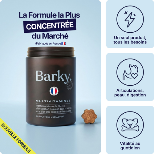 CF-01™ Multivitamines