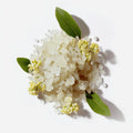 Extrait de Boswellia Serrata